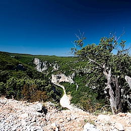 Gorges de l'Ardèche, Francie